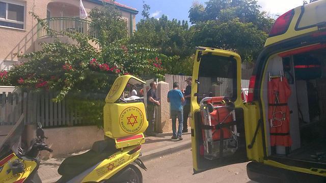 Фото: TPS (צילום: TPS) Фото: TPS