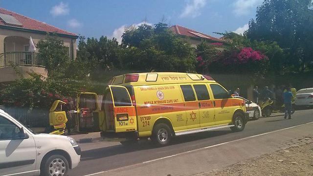 Фото: TPS (צילום: TPS) Фото: TPS