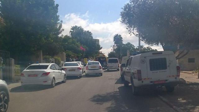 Фото: TPS (צילום: TPS) Фото: TPS