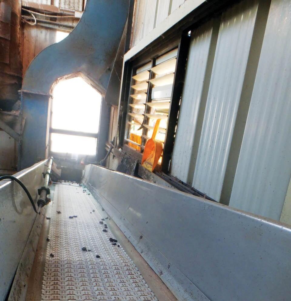 Сортировочная машина (shutterstock) Сортировочная машина