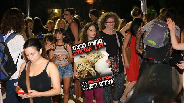 Demonstrator with sign that says: 'Egg industry: Killing of chicks. Become vegan, save lives' (Photo: Motti Kimchi) (צילום: מוטי קמחי) Demonstrator with sign that says: 'Egg industry: Killing of chicks. Become vegan, save lives' (Photo: Motti Kimchi)