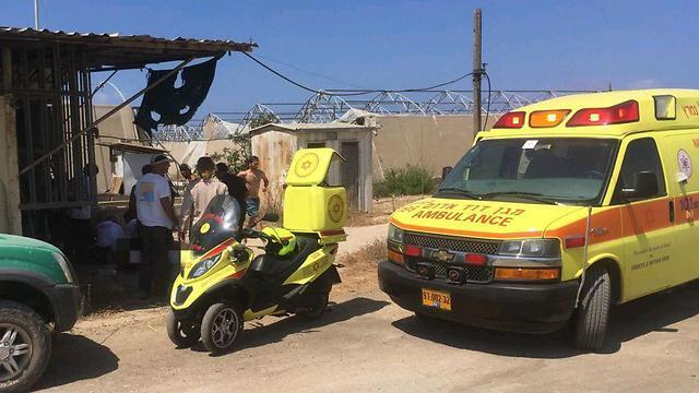 Фото: Игаль Гольдштейн, МАДА