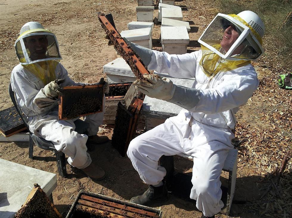 Израильские пчеловоды. Фото: Совет по меду