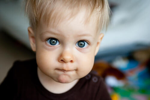 Фото: shutterstock (shutterstock) Фото: shutterstock