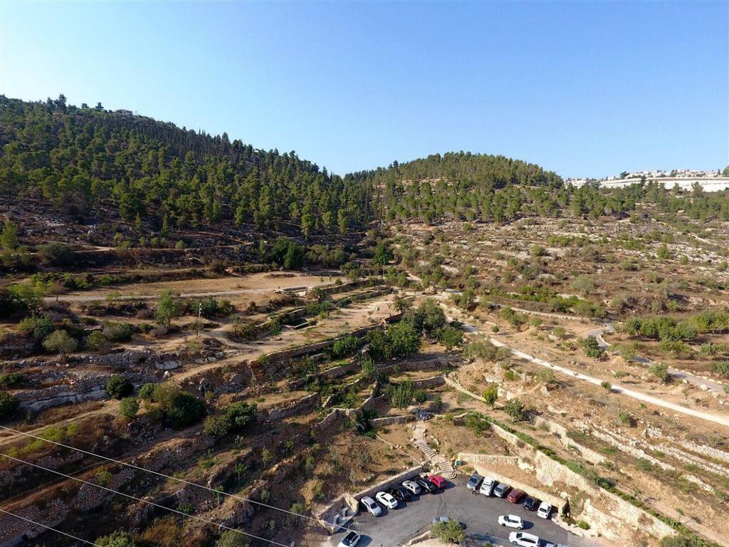 Фото: Дов Гринблатт. Общество защиты окружающей среды