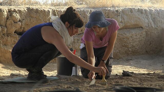 Раскопки в Тель-Цафе