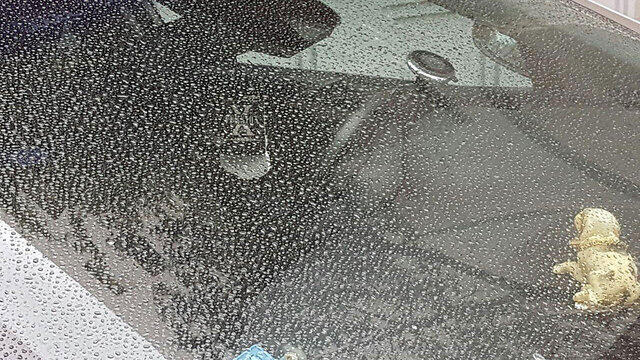 Дождь в Тель-Авиве. Фото: Моти Кимхи