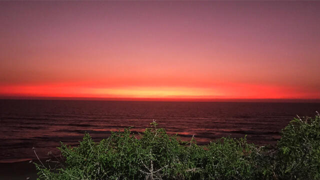 Фото: Мики Лалум