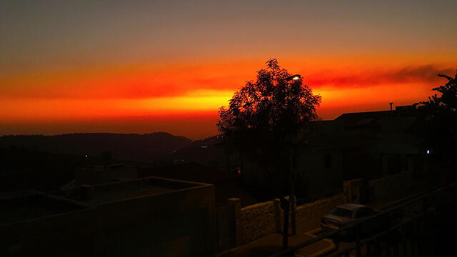 Фото: Яир Зальнефройнер