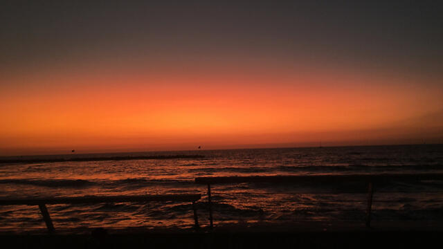 Фото: Рои Амир