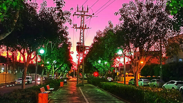 Фото: Йогев Гилель