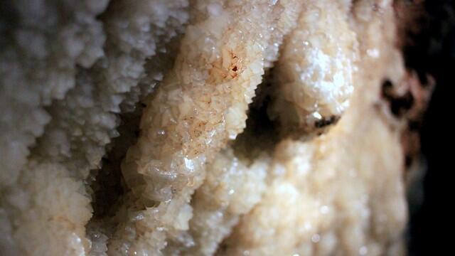 Фото: Лиад Ландау (צילום: ליעד לנדאו) Фото: Лиад Ландау