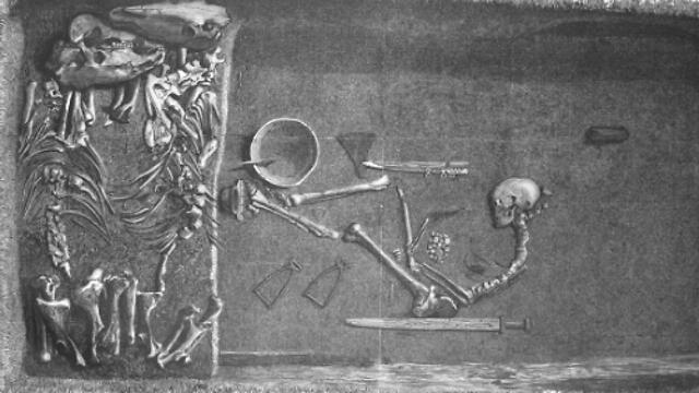 Скелет викинга. Фото: Стокгольмский университет (צילום: מתוך המחקר) Скелет викинга. Фото: Стокгольмский университет