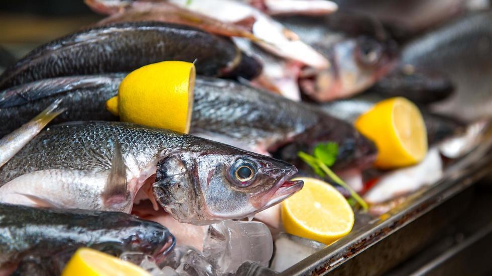 Свежая рыба. Фото: Ярон Бреннер (צילום: ירון ברנר) Свежая рыба. Фото: Ярон Бреннер