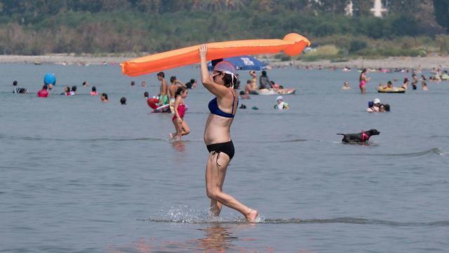 Фото: пресс-служба Управления Кинерет