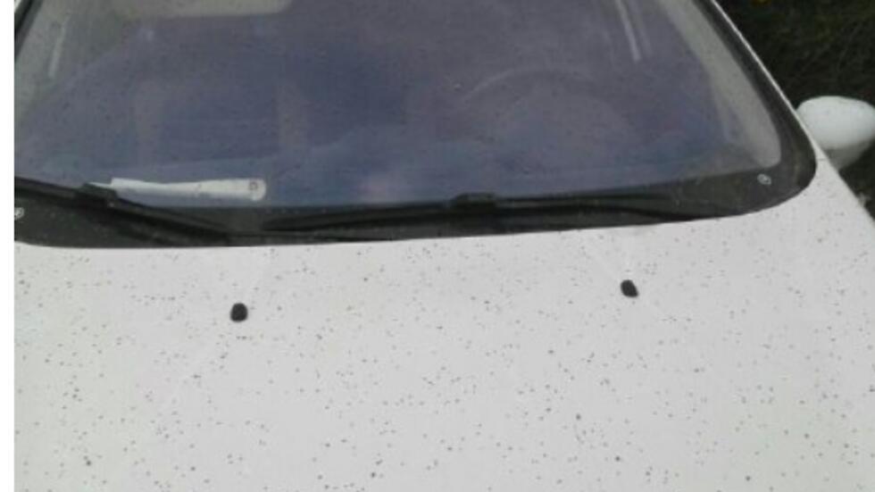 Фото: Ариэль Ной