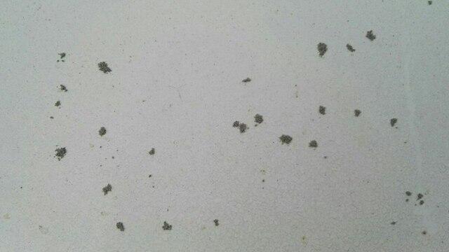 Угольный дождь. Фото: Ариэль Ной