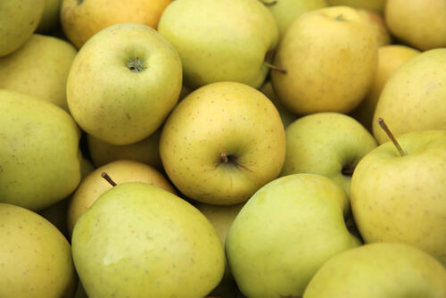 Сорт "Golden Delicious"