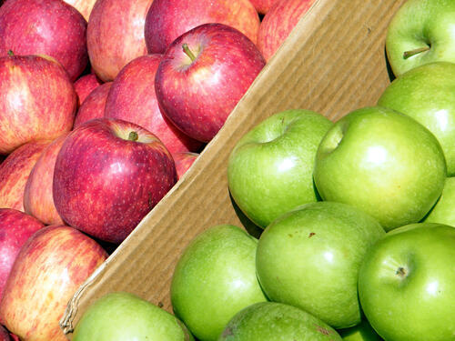 Фото: sutterstock