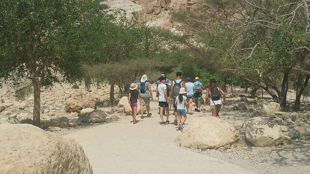 Ein Gedi (Photo: Sharon Levi)