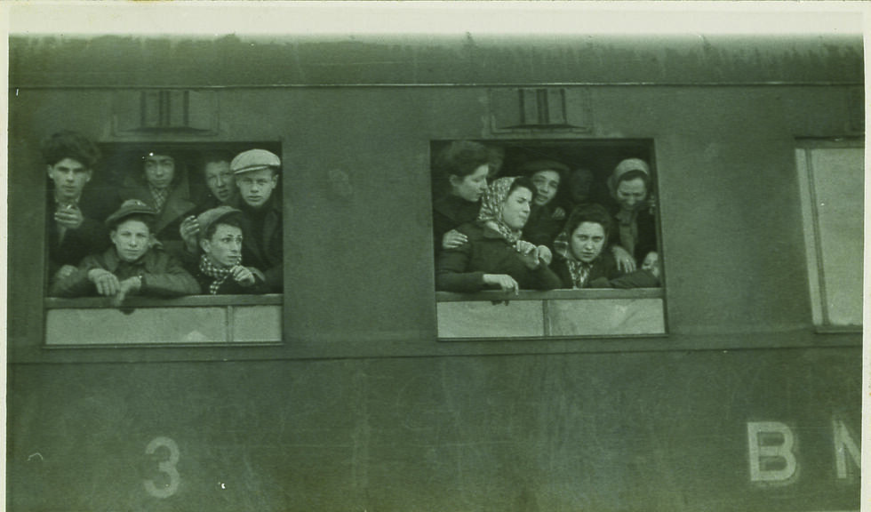 История "Эксодуса". Фото: Роберт Гарри