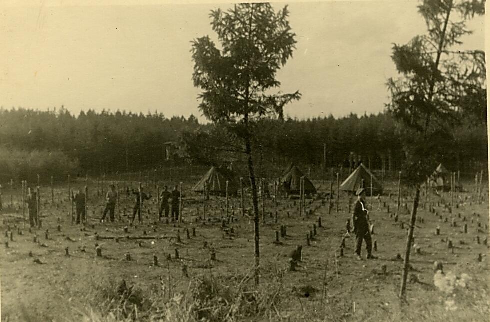 История "Эксодуса". Фото: Роберт Гарри
