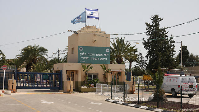 Хайфский техникум ВВС. Фото: Авишав Шаар-Ешув (צילום: אבישג שאר- ישוב) Хайфский техникум ВВС. Фото: Авишав Шаар-Ешув