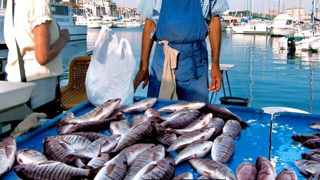 Фото: shuttertock (צילום: shuttertock) Фото: shuttertock