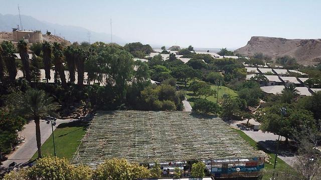 Фото: Ром Карми (צילום: רום כרמי) Фото: Ром Карми