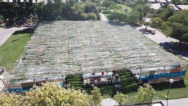 Сукка в кибуце Йотвата (צילום: רום כרמי) Сукка в кибуце Йотвата