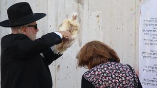 Pre-Yom Kippur ritual of kapparot
