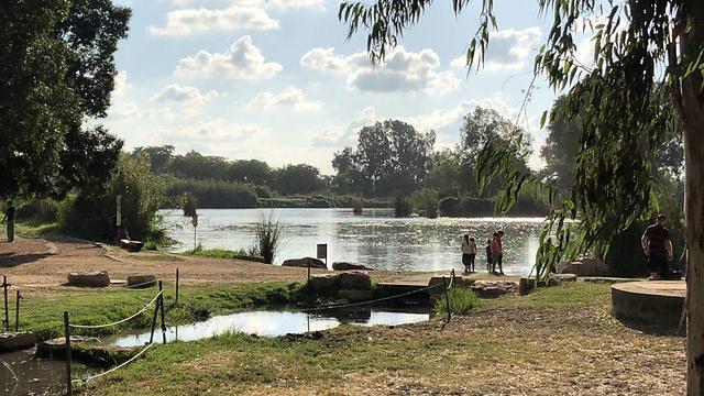 Фото: Гай Леви (צילום: גיא לוי) Фото: Гай Леви