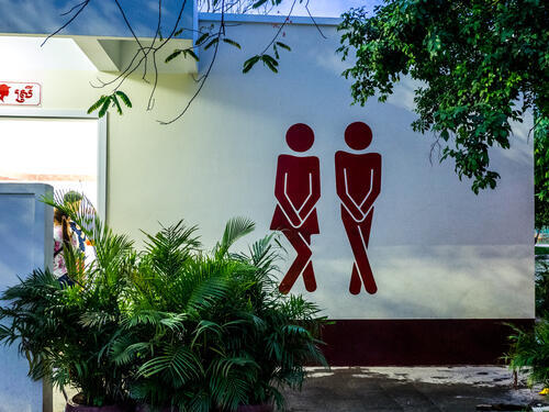 Фото: shutterstock (shutterstock) Фото: shutterstock