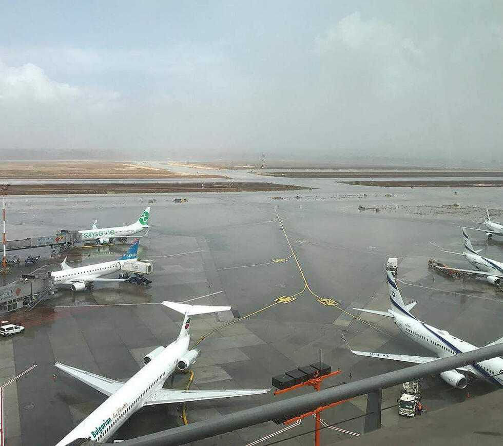 Фото: Йони Барлев (צילום: יוני ברלב) Фото: Йони Барлев