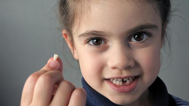 Фото: Shutterstock (צילום: shutterstock) Фото: Shutterstock