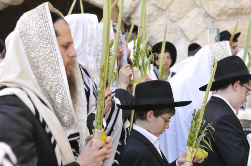 Фото: Boris Diakovsky shutterstock