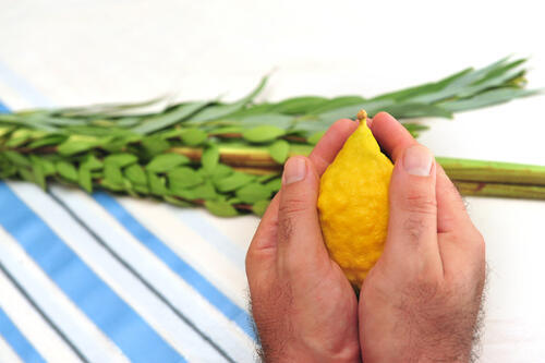 Фото: shutterstock (shutterstock) Фото: shutterstock