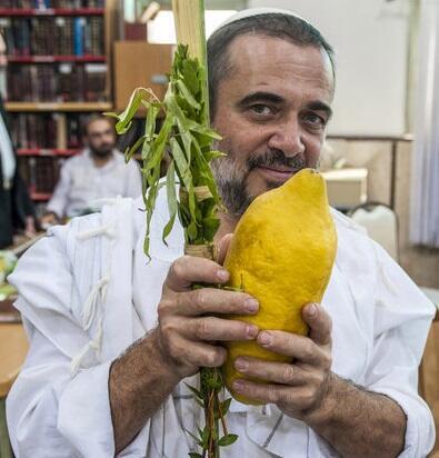 Макс Шамота (Макс Шамота) Макс Шамота