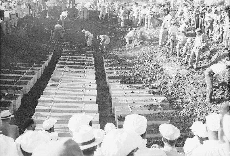 Фото: Давид Рубингер (Давид Рубингер) Фото: Давид Рубингер