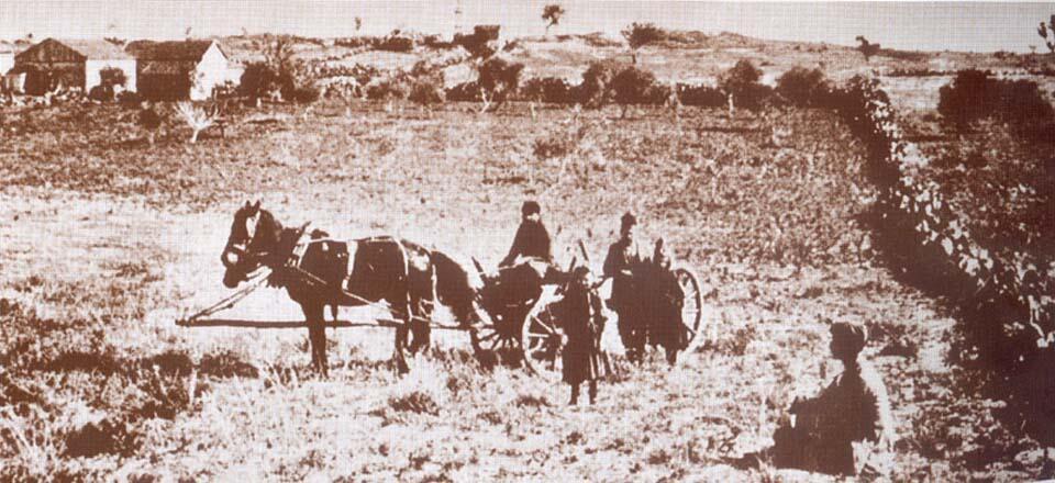 Дома в Йегуде в 1880-е годы. Фото из музея (Фото: Леон Левитас) Дома в Йегуде в 1880-е годы. Фото из музея
