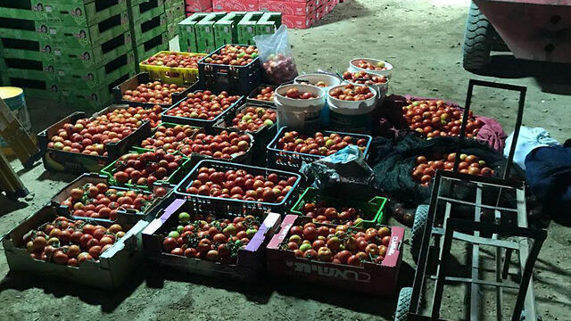 Some of the produce suspects allegedly intended to steal