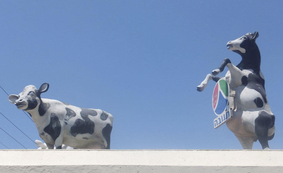 Инсталляция с логотипом "Тнувы" в Рамат ха-Шароне