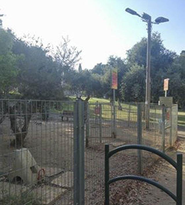 Трава и тень есть только вне площадки. Фото: Анна Владимирская