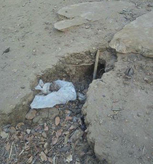 Та самая яма, куда попал Лео. Фото: Анна Владимирская