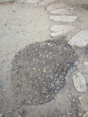 Яма спешно засыпана гравием. Фото предоставлено Анной Владимирской