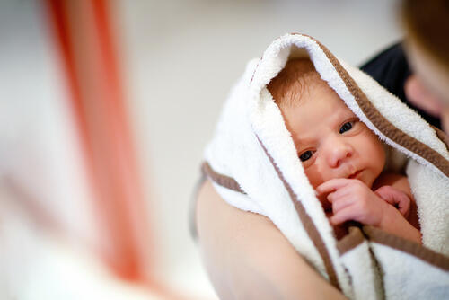 Фотоиллюстрация: shutterstock