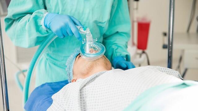 Фото: shutterstock (צילום: shutterstock) Фото: shutterstock