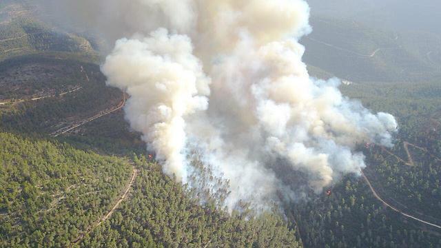 Фото: пресс-служба полиции (צילום: משטרת ישראל) Фото: пресс-служба полиции