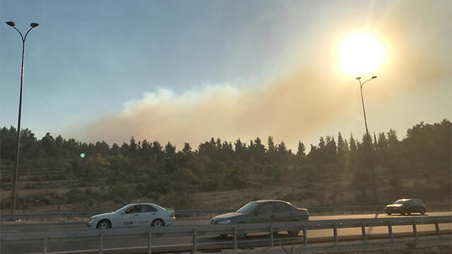 Фото: Амиад Рахамим (צילום: עמיעד רחמים) Фото: Амиад Рахамим