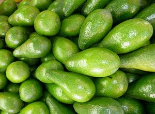 Фото: Леон Левитас